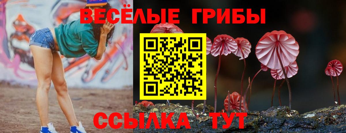 Галлюциногенные грибы прущие грибы  Вход с VPN  Миасс 
